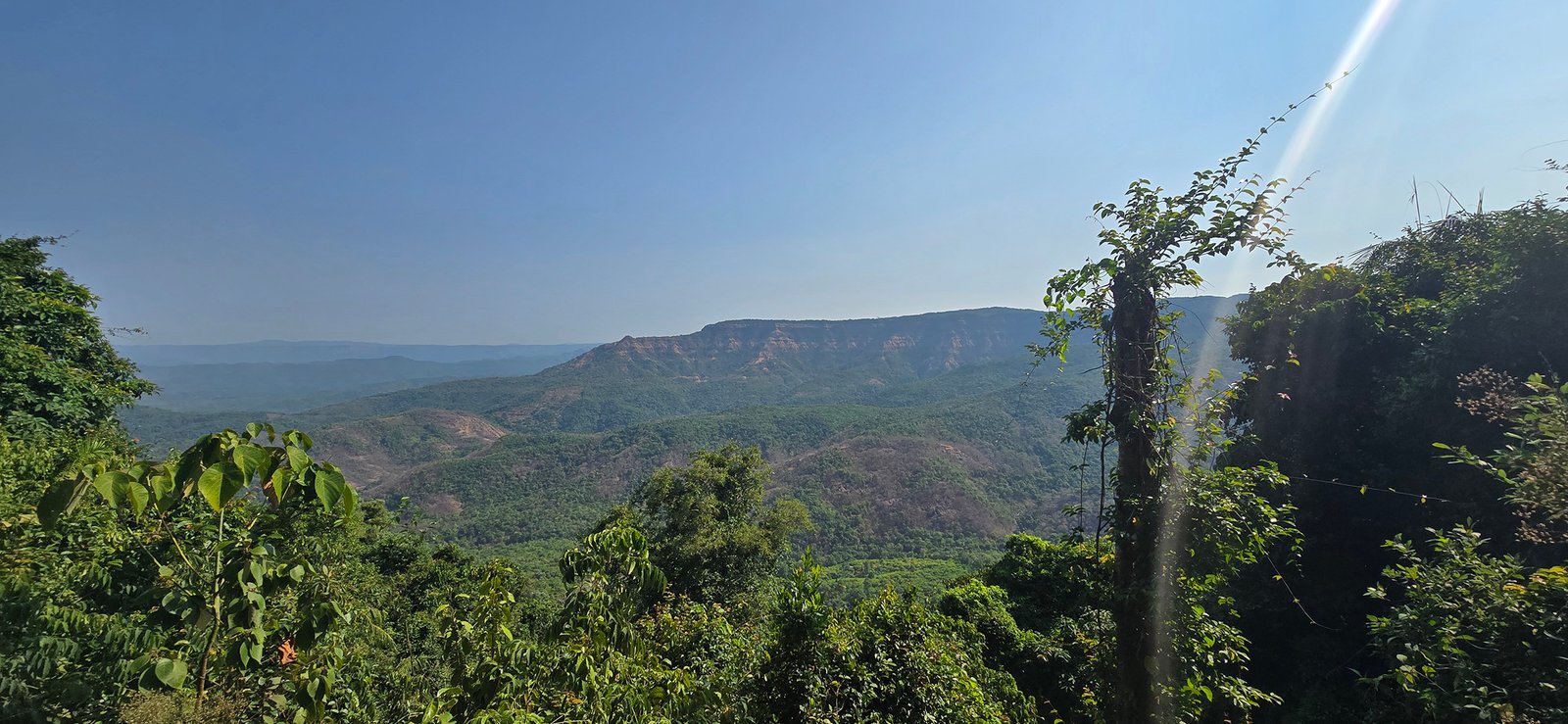 Amboli