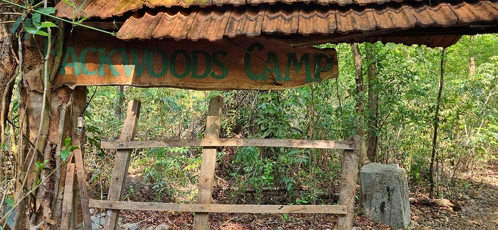 Backwoods Camp